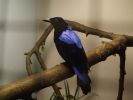 2005_05290118.JPG