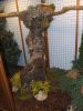 DSCF3459.JPG