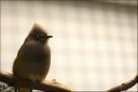 Filename=IMG_7301.jpg
Filesize=68KiB
Dimensions=800x534
Date added=Oct 11, 2016 IMG_7301.jpg