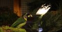 Filename=IMG_7306.jpg
Filesize=84KiB
Dimensions=800x417
Date added=Oct 11, 2016 IMG_7306.jpg