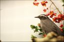 Filename=IMG_7319.jpg
Filesize=86KiB
Dimensions=800x534
Date added=Oct 11, 2016 IMG_7319.jpg