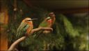 Filename=IMG_7377.jpg
Filesize=83KiB
Dimensions=800x463
Date added=Oct 11, 2016 IMG_7377.jpg