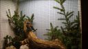 DSC03796.JPG