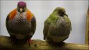 Filename=DSC03828.JPG
Filesize=133KiB
Dimensions=1024x576
Date added=Oct 11, 2016 DSC03828.JPG