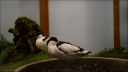 Filename=DSC03872.JPG
Filesize=117KiB
Dimensions=1024x576
Date added=Oct 11, 2016 DSC03872.JPG