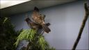 Filename=DSC03875.JPG
Filesize=138KiB
Dimensions=1024x576
Date added=Oct 11, 2016 DSC03875.JPG