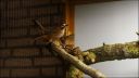 Filename=DSC03887.JPG
Filesize=144KiB
Dimensions=1024x576
Date added=Oct 11, 2016 DSC03887.JPG
