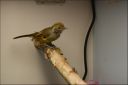 44-DSC01781.JPG