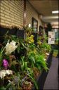 Filename=DSC_0155.jpg
Filesize=75KiB
Dimensions=317x480
Date added=Oct 11, 2016 DSC_0155.jpg