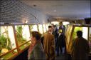 Filename=DSC_0165.jpg
Filesize=97KiB
Dimensions=640x423
Date added=Oct 11, 2016 DSC_0165.jpg