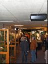 Filename=B_Kocken_Vogelshow_2011_248.jpg
Filesize=60KiB
Dimensions=360x480
Date added=Oct 11, 2016 B_Kocken_Vogelshow_2011_248.jpg