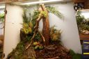 DSC00215.jpg