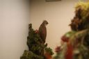 DSC00277.jpg