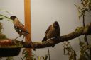Filename=DSC00297.jpg
Filesize=38KiB
Dimensions=640x428
Date added=Oct 11, 2016 DSC00297.jpg