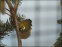 Filename=DSCF8838.JPG
Filesize=43KiB
Dimensions=480x360
Date added=Oct 11, 2016 DSCF8838.JPG
