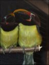 Filename=DSCF8996.JPG
Filesize=46KiB
Dimensions=360x480
Date added=Oct 11, 2016 DSCF8996.JPG