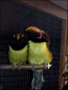 Filename=DSCF8997.JPG
Filesize=54KiB
Dimensions=360x480
Date added=Oct 11, 2016 DSCF8997.JPG