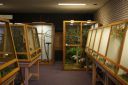 Filename=3de_opbouwdag_282729.JPG
Filesize=52KiB
Dimensions=640x428
Date added=Oct 11, 2016 3de_opbouwdag_282729.JPG