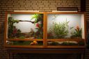 Filename=3de_opbouwdag_283829.JPG
Filesize=56KiB
Dimensions=640x428
Date added=Oct 11, 2016 3de_opbouwdag_283829.JPG