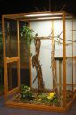 Filename=3de_opbouwdag_284129.JPG
Filesize=79KiB
Dimensions=428x640
Date added=Oct 11, 2016 3de_opbouwdag_284129.JPG