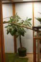 Filename=3de_opbouwdag_284229.JPG
Filesize=81KiB
Dimensions=428x640
Date added=Oct 11, 2016 3de_opbouwdag_284229.JPG