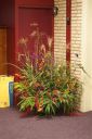 Filename=4de_opbouwdag_280229.JPG
Filesize=89KiB
Dimensions=428x640
Date added=Oct 11, 2016 4de_opbouwdag_280229.JPG
