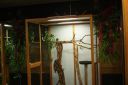 Filename=4de_opbouwdag_280629.JPG
Filesize=48KiB
Dimensions=640x428
Date added=Oct 11, 2016 4de_opbouwdag_280629.JPG