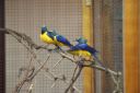 Filename=4de_opbouwdag_282029.JPG
Filesize=46KiB
Dimensions=640x428
Date added=Oct 11, 2016 4de_opbouwdag_282029.JPG