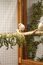 Filename=4de_opbouwdag_282829.JPG
Filesize=65KiB
Dimensions=428x640
Date added=Oct 11, 2016 4de_opbouwdag_282829.JPG