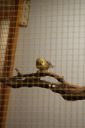 Filename=4de_opbouwdag_283529.JPG
Filesize=51KiB
Dimensions=428x640
Date added=Oct 11, 2016 4de_opbouwdag_283529.JPG