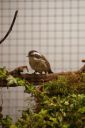 Filename=4de_opbouwdag_283729.JPG
Filesize=65KiB
Dimensions=428x640
Date added=Oct 11, 2016 4de_opbouwdag_283729.JPG