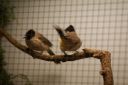 Filename=4de_opbouwdag_285829.JPG
Filesize=35KiB
Dimensions=640x428
Date added=Oct 11, 2016 4de_opbouwdag_285829.JPG