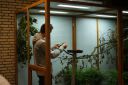 Filename=4de_opbouwdag_286529.JPG
Filesize=61KiB
Dimensions=640x428
Date added=Oct 11, 2016 4de_opbouwdag_286529.JPG
