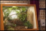 Filename=VSC2009-00.JPG
Filesize=96KiB
Dimensions=600x401
Date added=Oct 11, 2016 VSC2009-00.JPG