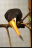 Filename=VSC2009-29.JPG
Filesize=34KiB
Dimensions=321x480
Date added=Oct 11, 2016 VSC2009-29.JPG