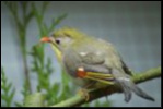 Filename=VSC2009-44.JPG
Filesize=52KiB
Dimensions=600x401
Date added=Oct 11, 2016 VSC2009-44.JPG
