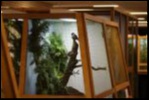 Filename=VSC2009-49.JPG
Filesize=81KiB
Dimensions=600x401
Date added=Oct 11, 2016 VSC2009-49.JPG