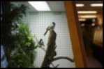Filename=VSC2009-50.JPG
Filesize=82KiB
Dimensions=600x401
Date added=Oct 11, 2016 VSC2009-50.JPG