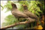 Filename=VSC2009-77.jpg
Filesize=71KiB
Dimensions=600x400
Date added=Oct 11, 2016 VSC2009-77.jpg