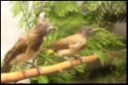 Filename=thumb_VSC2009-58.jpg
Filesize=9KiB
Dimensions=150x100
Date added=Oct 11, 2016 thumb_VSC2009-58.jpg