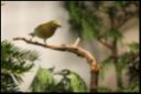 Filename=thumb_VSC2009-88.jpg
Filesize=8KiB
Dimensions=150x100
Date added=Oct 11, 2016 thumb_VSC2009-88.jpg