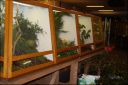Filename=wdl10.jpg
Filesize=85KiB
Dimensions=600x400
Date added=Oct 11, 2016 wdl10.jpg
