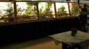 Filename=IMG_0930m_28Medium29.jpg
Filesize=61KiB
Dimensions=800x449
Date added=Oct 11, 2016 IMG_0930m_28Medium29.jpg
