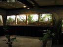 Filename=IMG_0931_28Medium29.JPG
Filesize=62KiB
Dimensions=800x600
Date added=Oct 11, 2016 IMG_0931_28Medium29.JPG