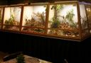 Filename=IMG_5357m_28Medium29.jpg
Filesize=73KiB
Dimensions=800x559
Date added=Oct 11, 2016 IMG_5357m_28Medium29.jpg