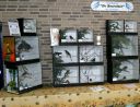 Filename=IMG_5417m_28Medium29.jpg
Filesize=105KiB
Dimensions=800x615
Date added=Oct 11, 2016 IMG_5417m_28Medium29.jpg