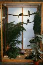 Filename=Img_5341rm_28Medium29.jpg
Filesize=54KiB
Dimensions=403x600
Date added=Oct 11, 2016 Img_5341rm_28Medium29.jpg