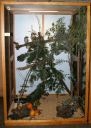 Filename=Img_5343rm_28Medium29.jpg
Filesize=63KiB
Dimensions=427x600
Date added=Oct 11, 2016 Img_5343rm_28Medium29.jpg