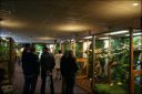 Filename=DSC03939.jpg
Filesize=134KiB
Dimensions=800x536
Date added=Oct 11, 2016 DSC03939.jpg