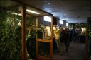Filename=DSC03941.jpg
Filesize=135KiB
Dimensions=800x536
Date added=Oct 11, 2016 DSC03941.jpg